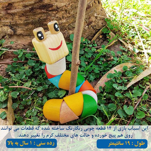 کرم چوبی رنگین کمان
